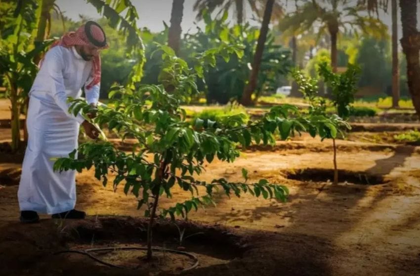 saudi green initiative